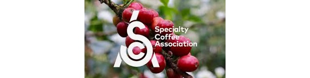 Vendita specialty coffee Genova pianta